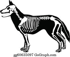Dog skeleton clip.