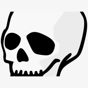 Skeleton Clipart Cranium
