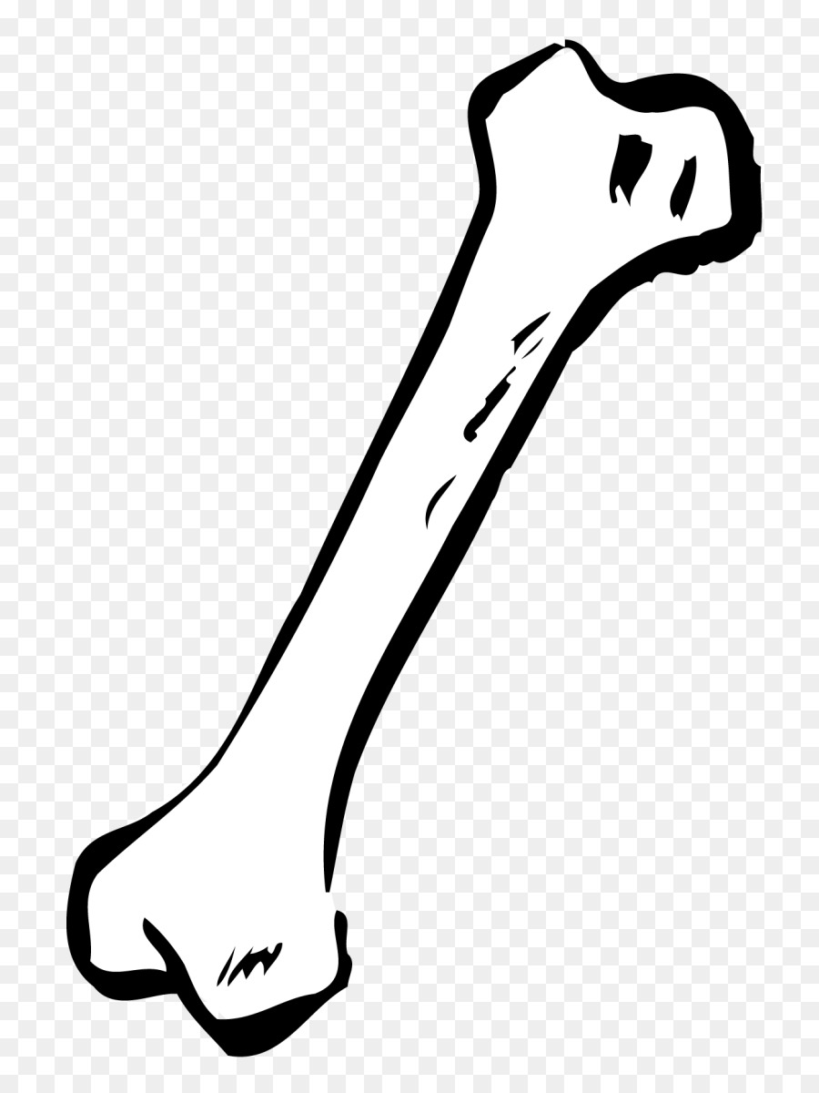 Dog Bone Human skeleton Clip art