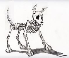 Free dog skeleton.
