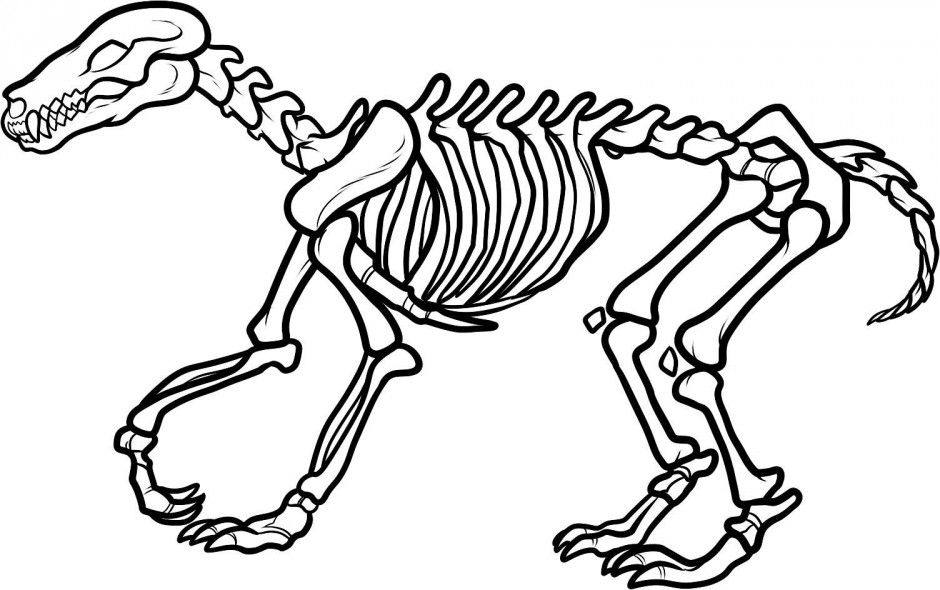 Free Bones Skeleton Cliparts, Download Free Clip Art, Free