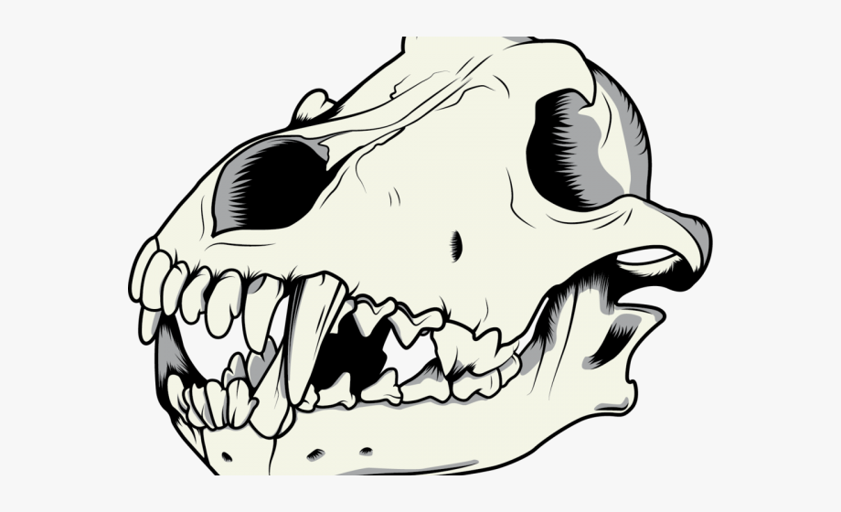 Skull Clipart Pig
