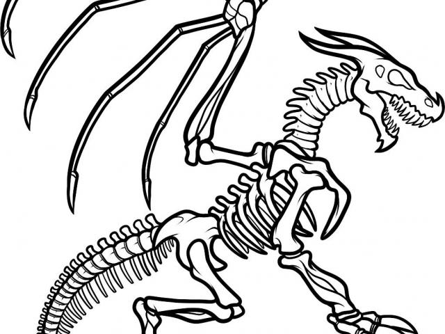 Free fossil clipart.