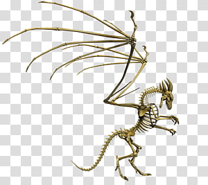 E S Bones II, skeleton dragon illustration transparent