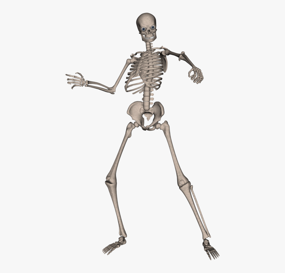 Clipart skeleton man.