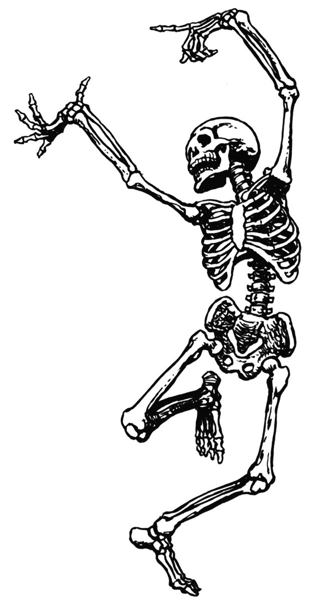 Halloween dog skeleton clipart