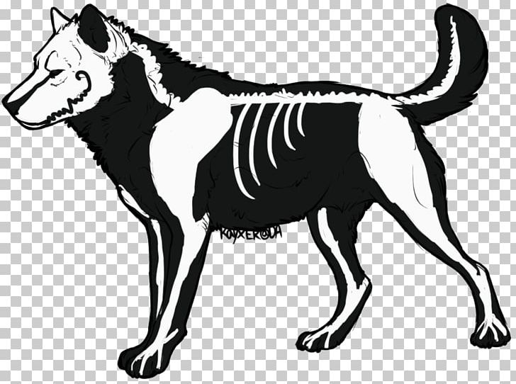 Dog Drawing Skeleton PNG, Clipart, Anatomy, Animal, Animals