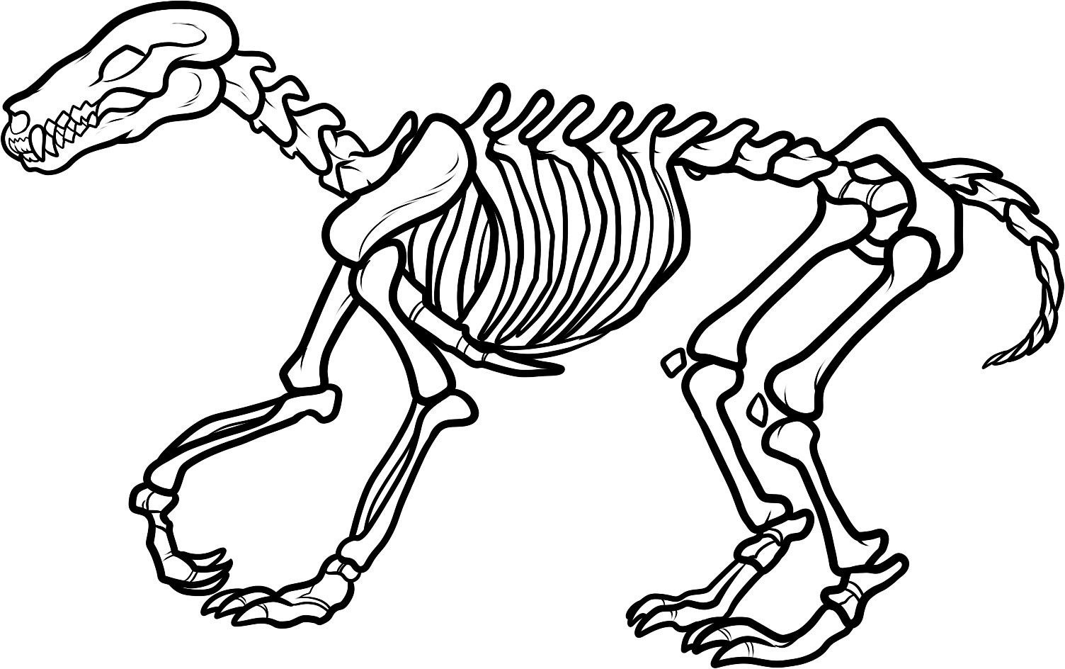 Bones clipart triceratops.