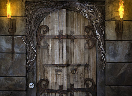 Door creepy dungeon.