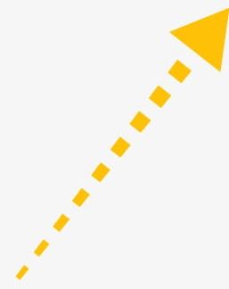 Yellow dotted arrow.
