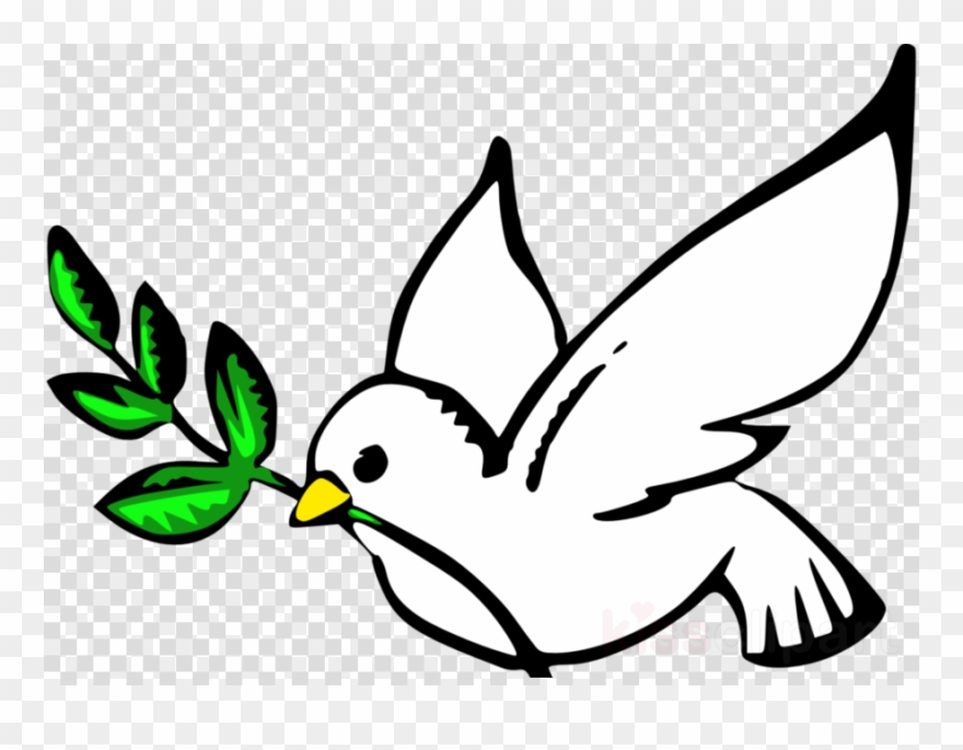 Dove Peace Clipart Pigeons And Doves Bird Doves As