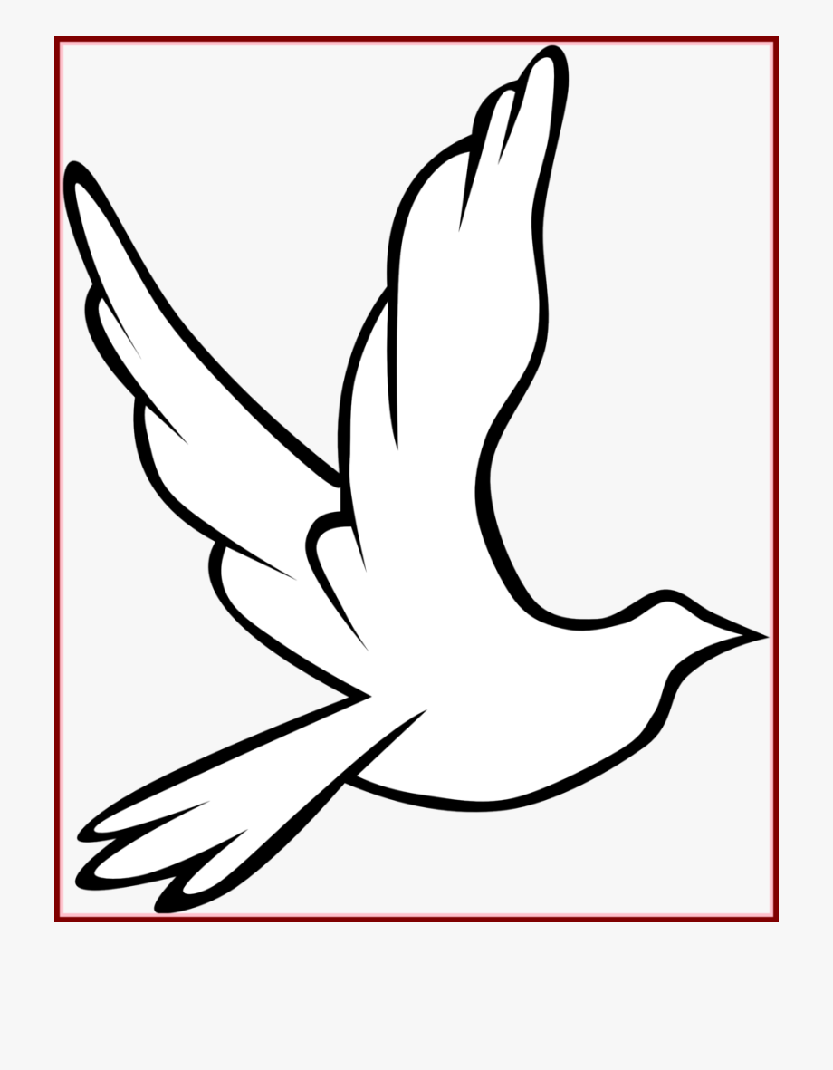 Download Holy Spirit Dove Outline Clipart Pigeons And