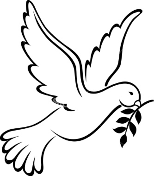 dove clipart drawing