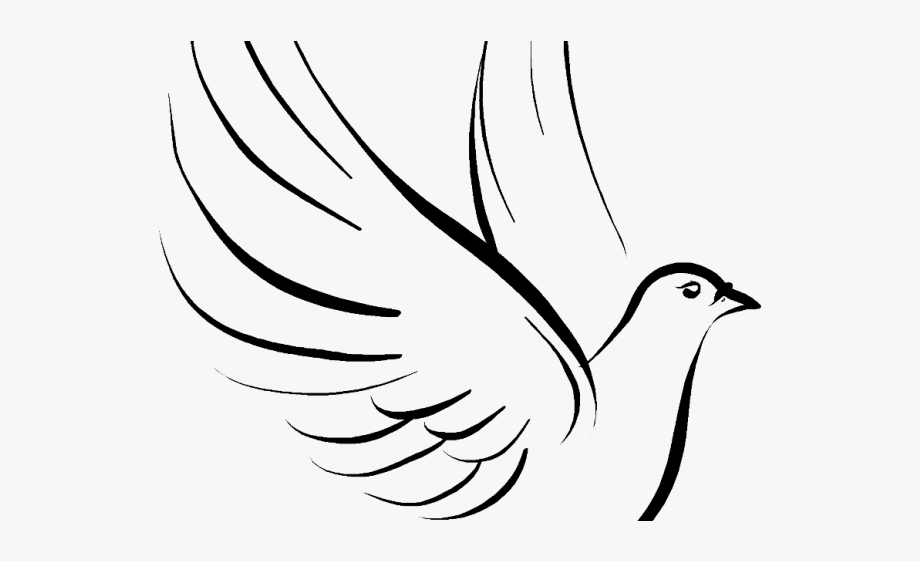 Pigeon Clipart Funeral Dove