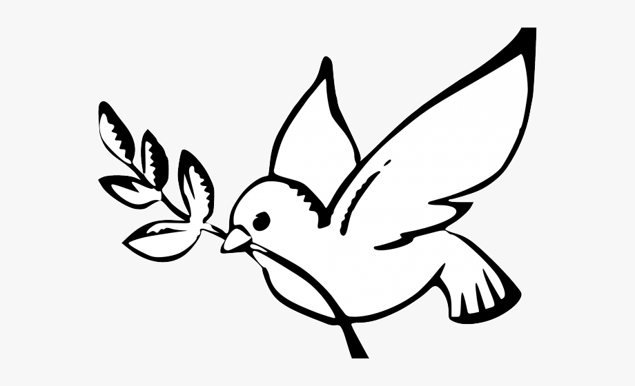 White Dove Clipart Peace