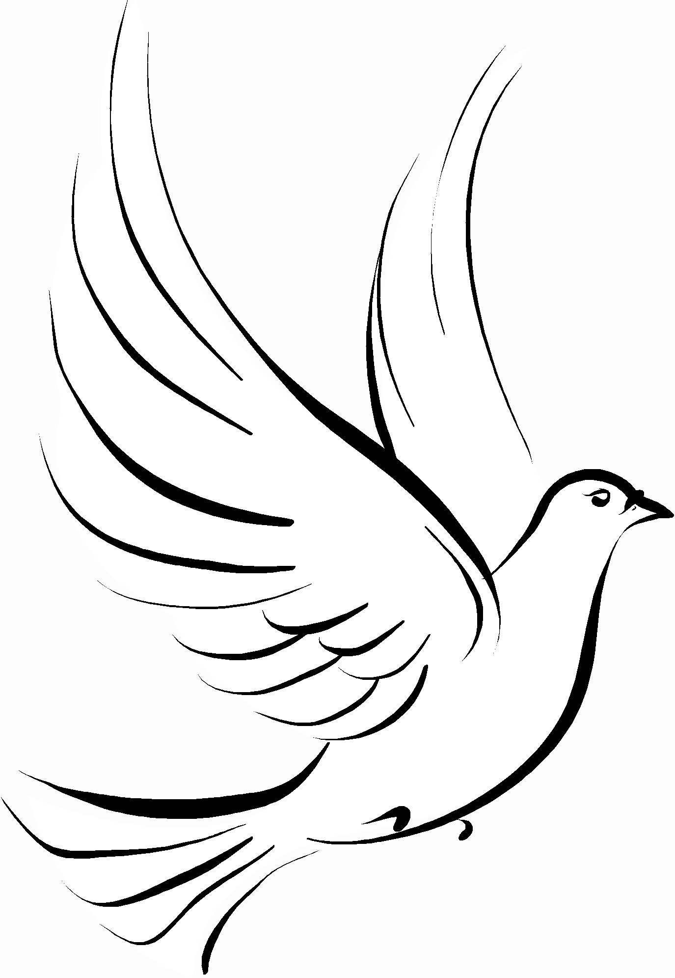 Free white dove.