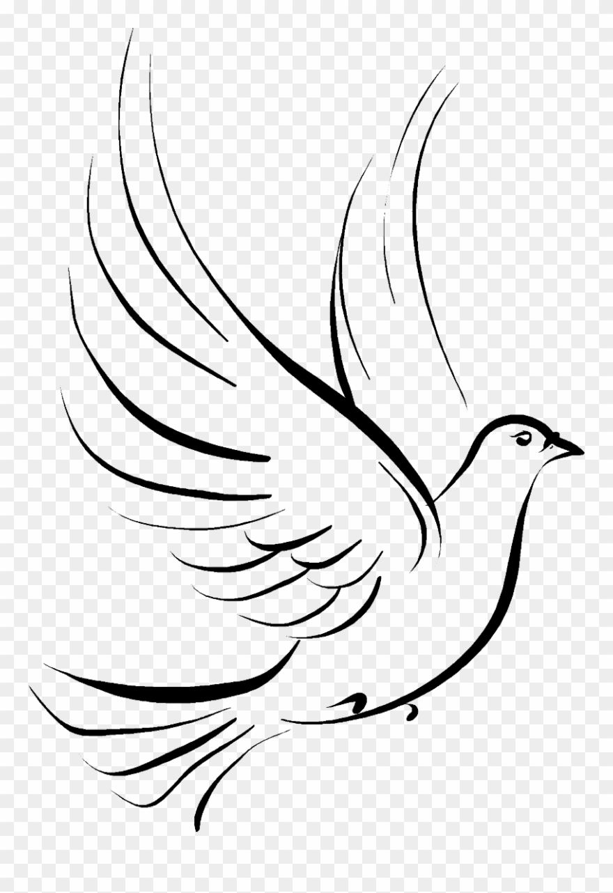 dove png clipart