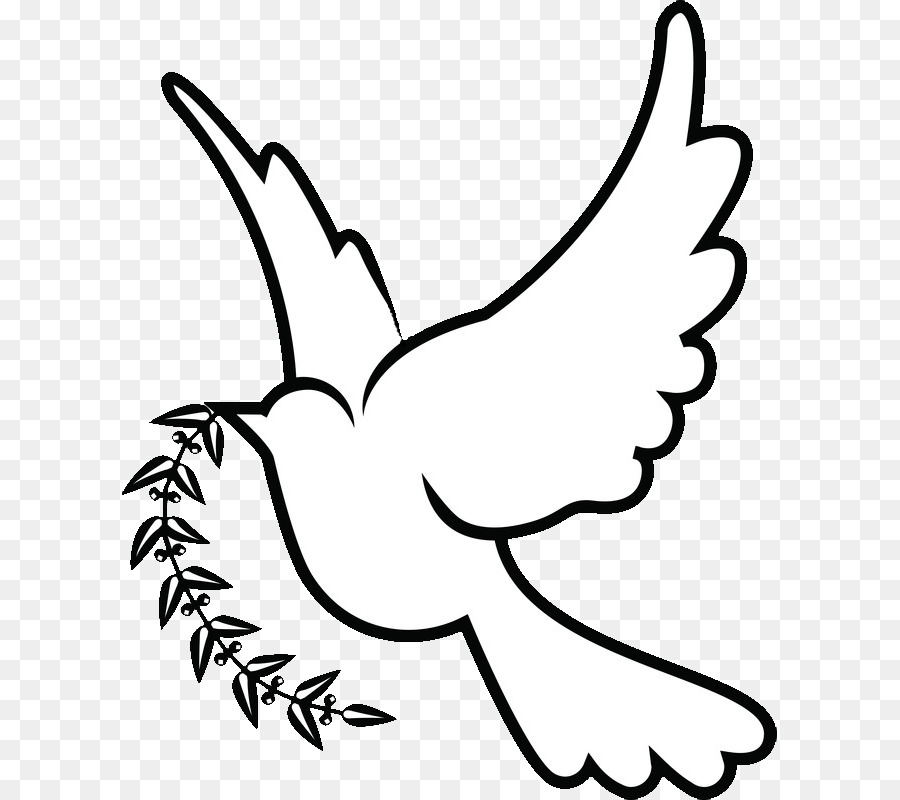 Dove png clipart.