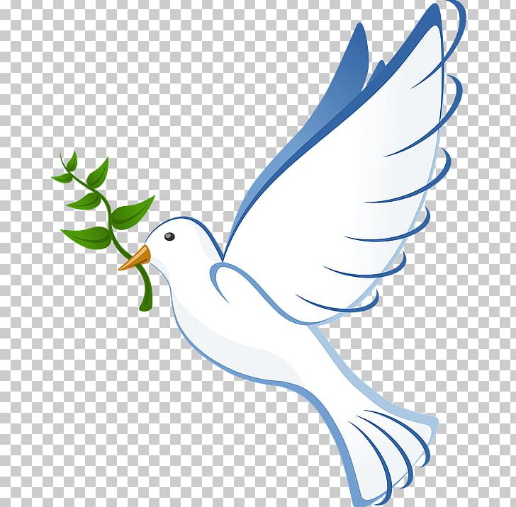 Peace dove png.