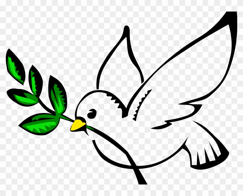 Dove png clipart.