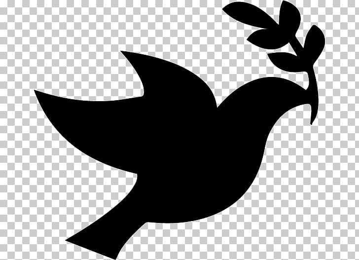 Columbidae Peace Doves as symbols , Baptism Dove PNG clipart