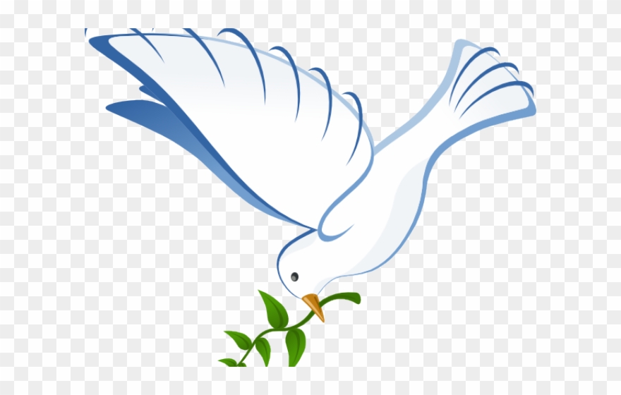 White Dove Clipart In Flight