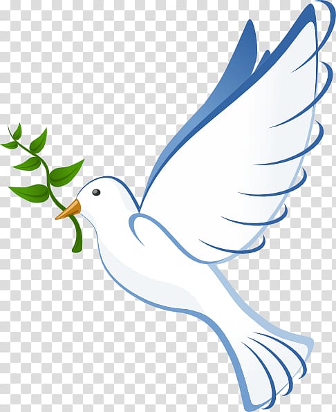 White dove carrying leaf illustration, Columbidae Bible