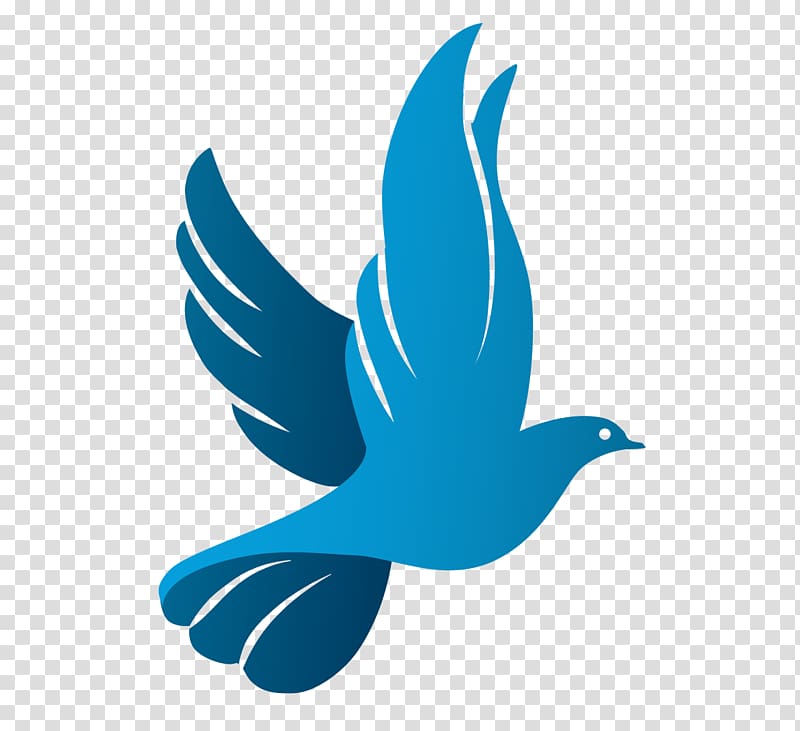 Blue bird , Columbidae Doves as symbols Logo, pigeon