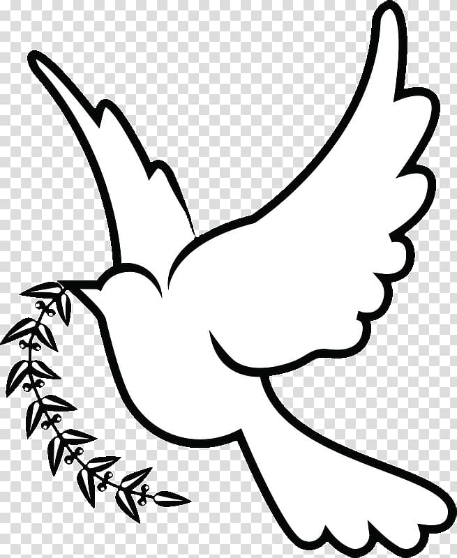 White dove with plant illustration, Columbidae Doves as