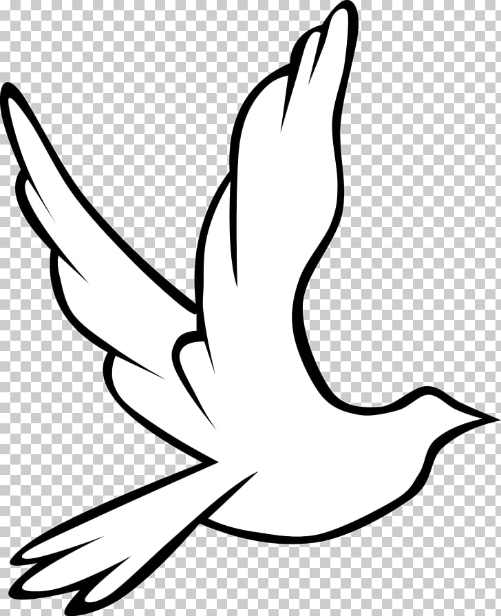Columbidae Doves as symbols Holy Spirit in Christianity