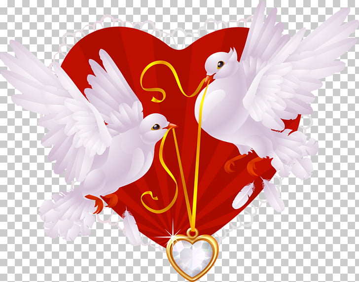 dove png clipart love