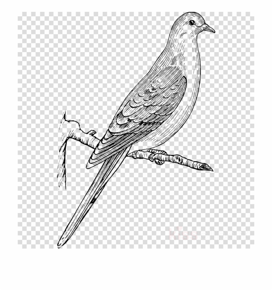Doves clipart mourning.