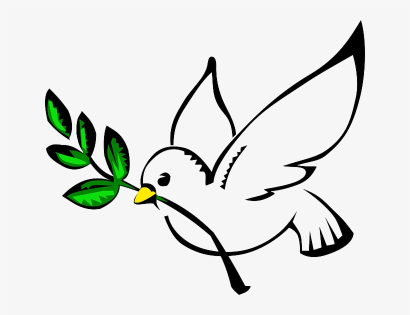 White Dove, Olive Branch, Pigeon, Freedom, Flying