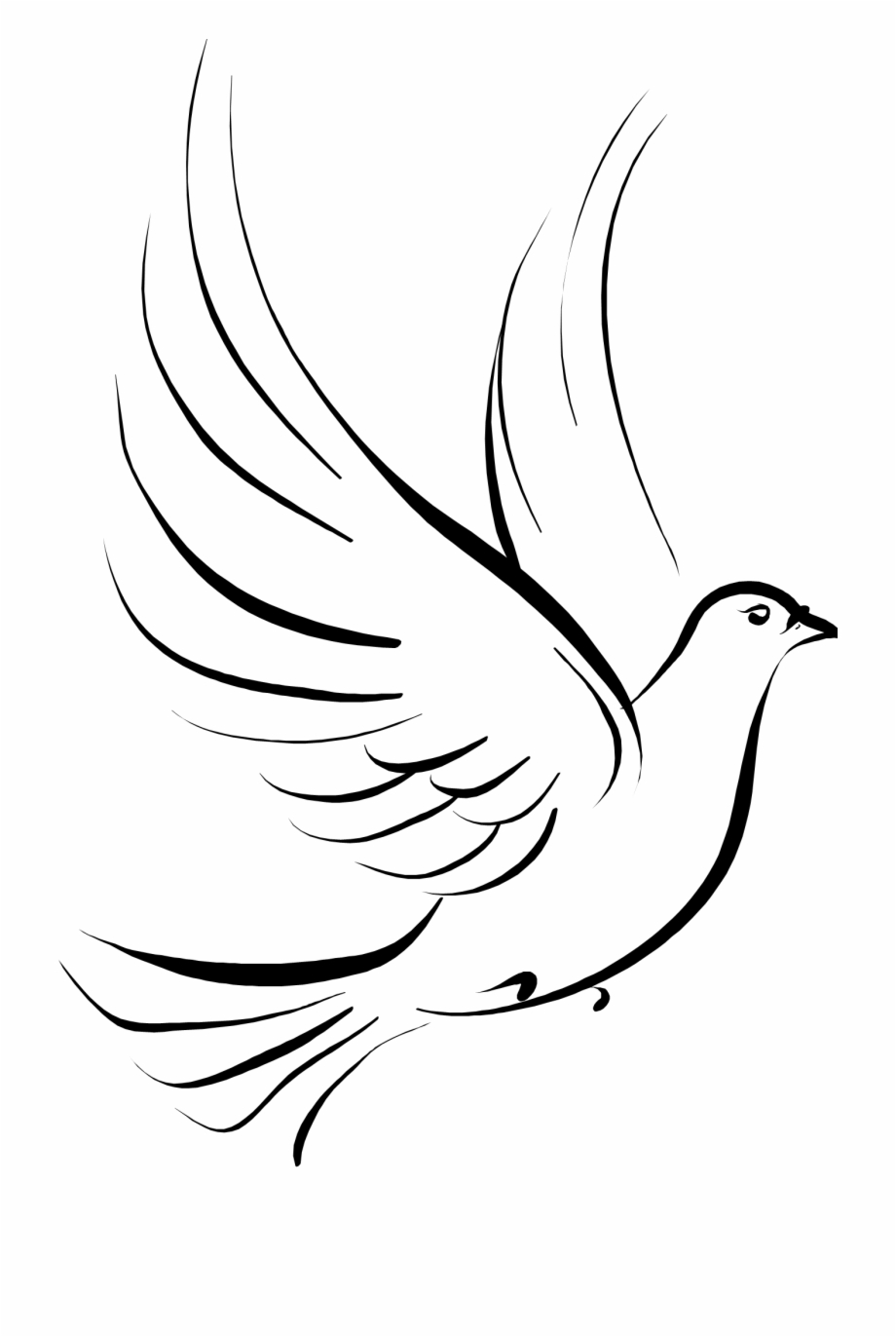 Free Dove Outline Png, Download Free Clip Art, Free Clip Art