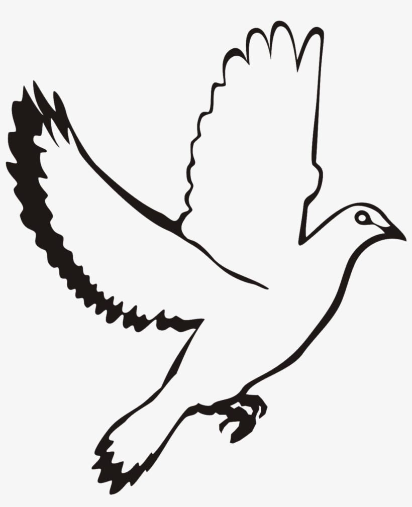 White flying dove.