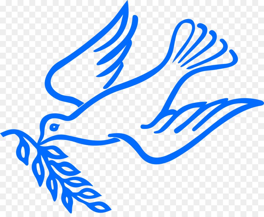 Columbidae peace doves.