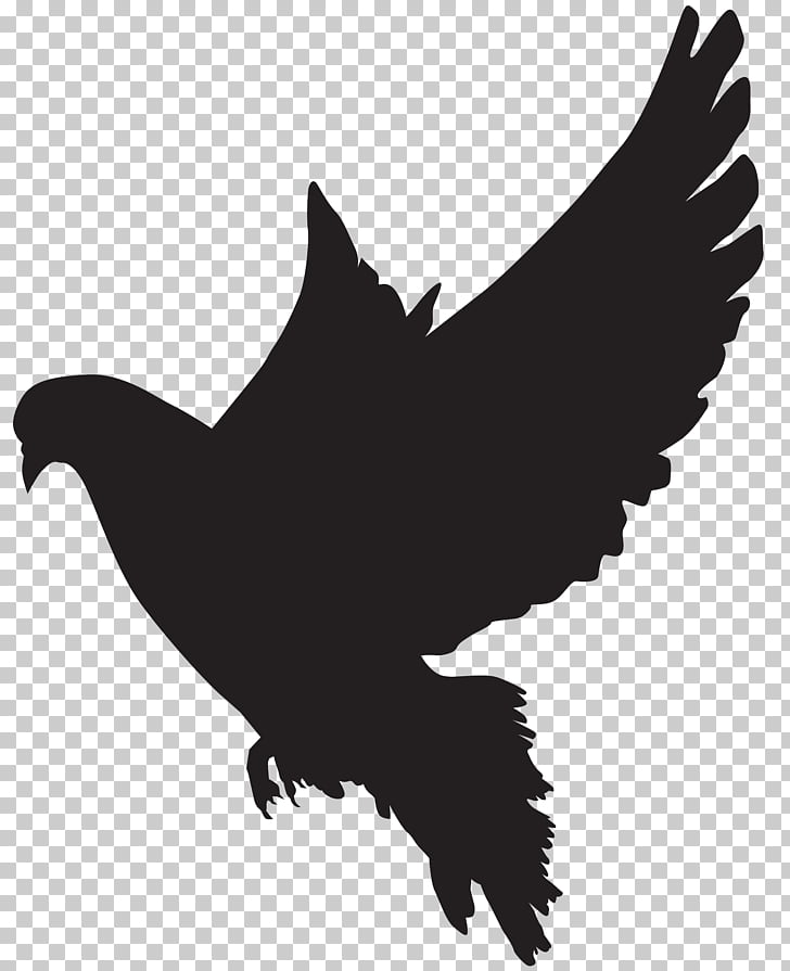 Columbidae Bird Silhouette , Dove Silhouette , black pigeon