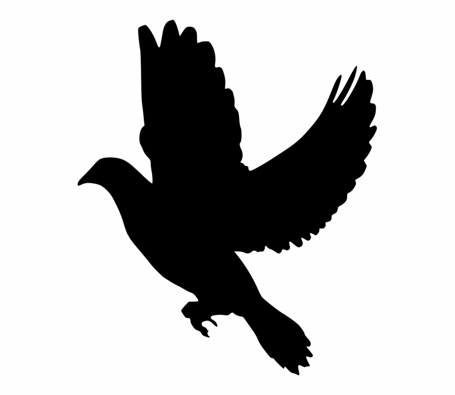 Silhouette, Peace, Dove, Flying, Olive, Branch, Symbol