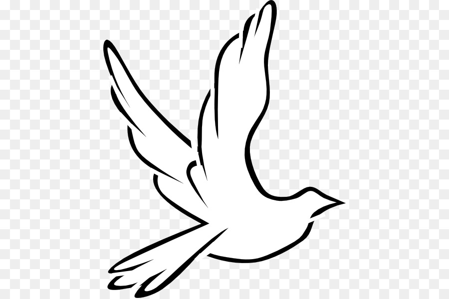 dove png clipart simple