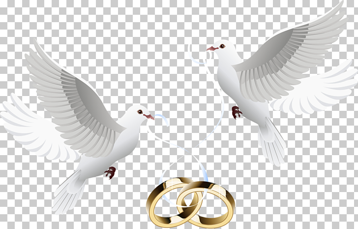 Wedding invitation , Dove inlay ring, two white doves