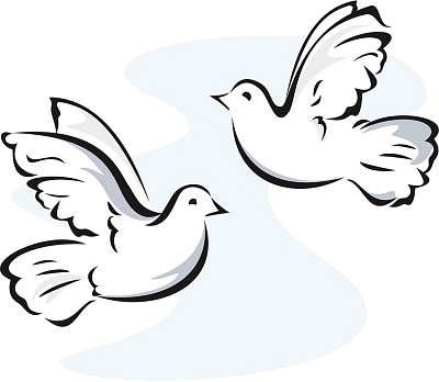 Download Dove Art Dove Graphic Dove Image Clipart PNG Free