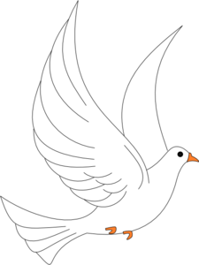 dove png clipart white