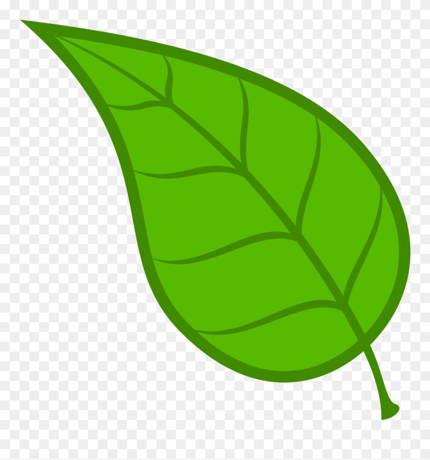Leaves Leaf Free Download Clip Art On Clipart Library