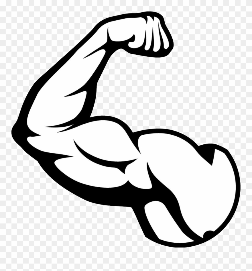Clip Art Free Muscle Png Images Free Download