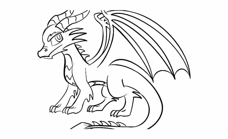 Drawn dragon cool.