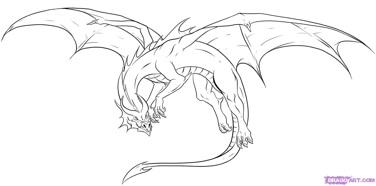 Free dragon drawings.