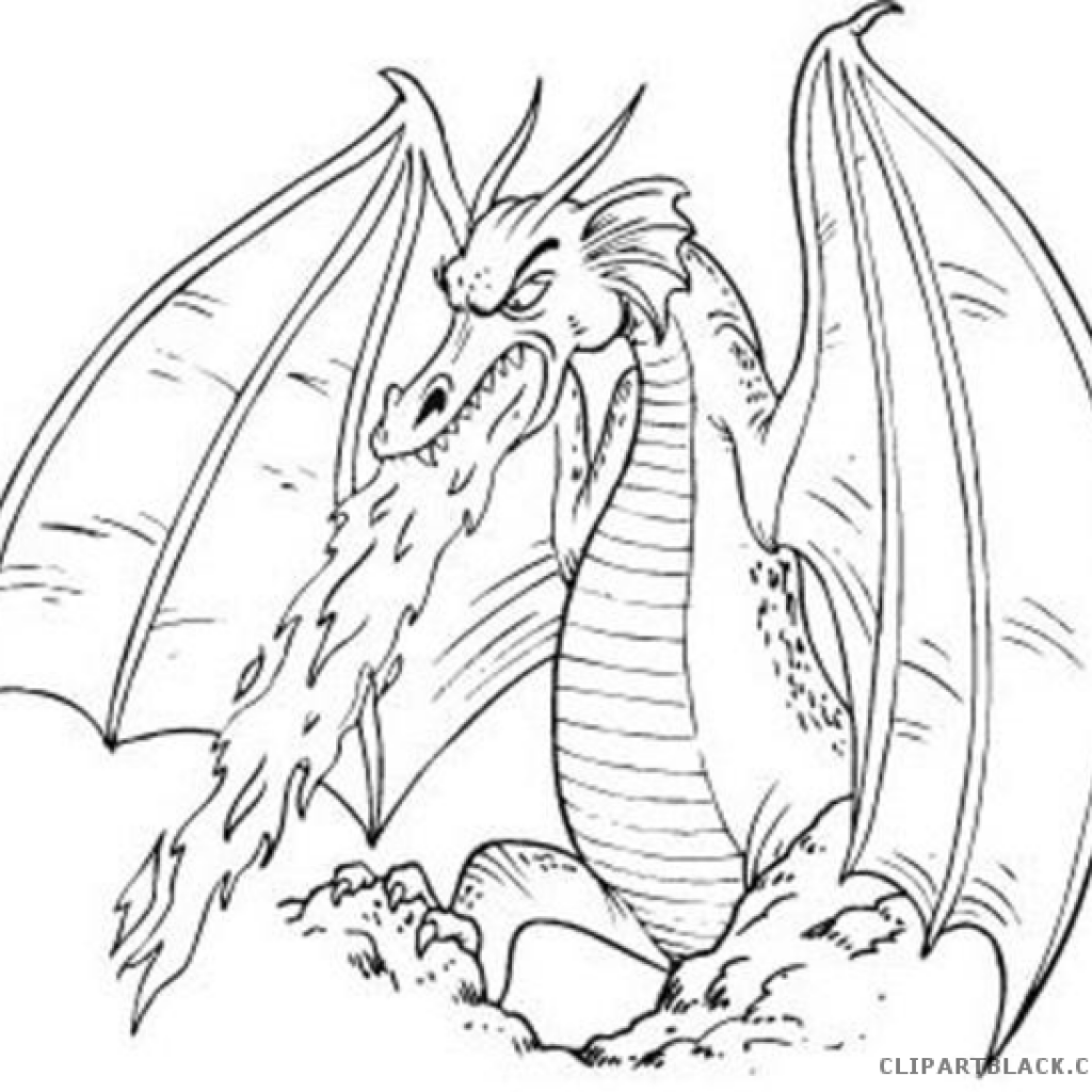 dragons clipart black and white realistic