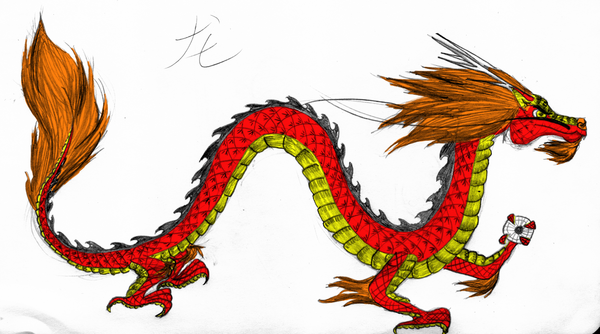 Chinese dragon colored sketch by m