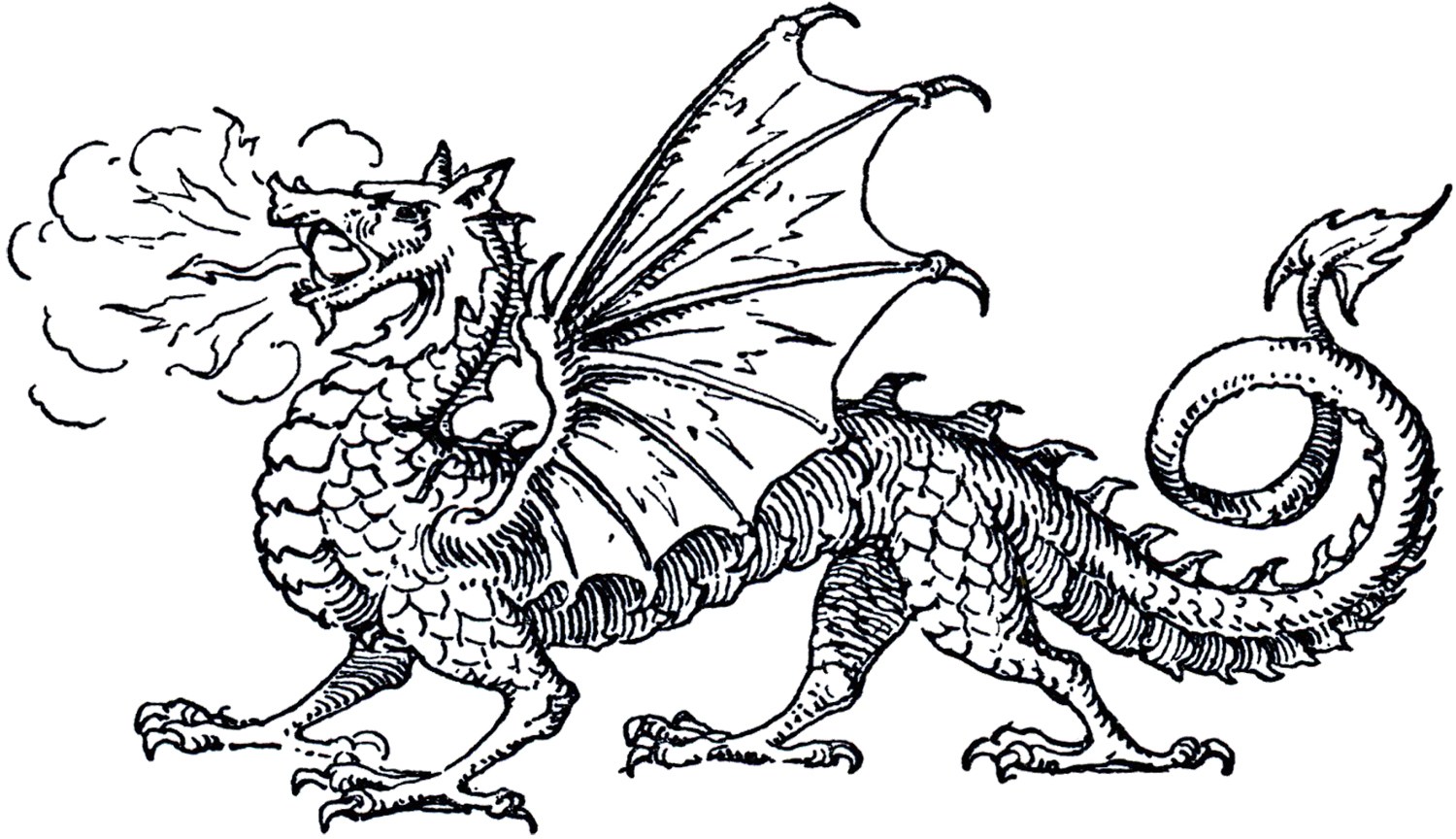 Medieval dragons clipart