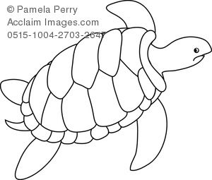 Sea turtle drawing.